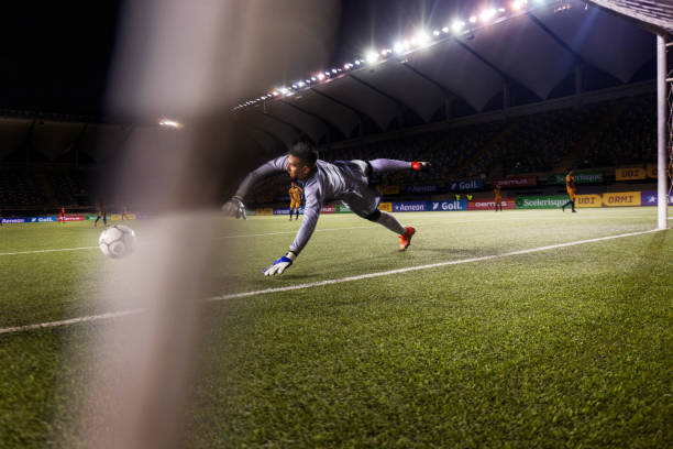 尼昂的引入 尼昂的引入